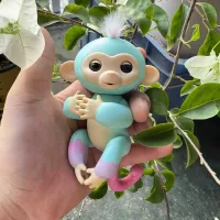 Tepki Veren Parmak çocuk Fingerling Monkey - 2